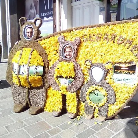 Le Trefle D'or Gérardmer