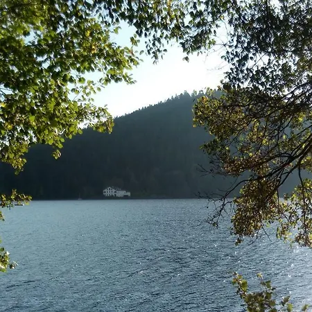 Le Trefle D'or Apartment *