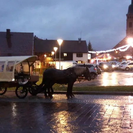 Le Trefle D'or Gérardmer