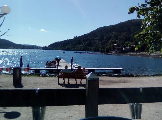 Le Trefle D'or * Gérardmer