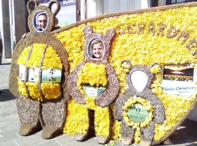 Le Trefle D'or Gérardmer