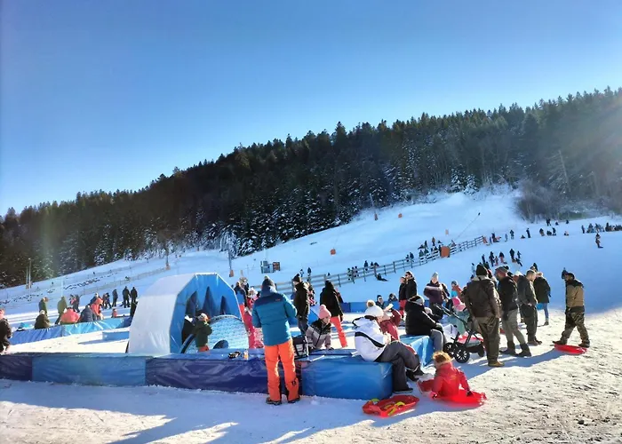 Le Trefle D'or * Gerardmer