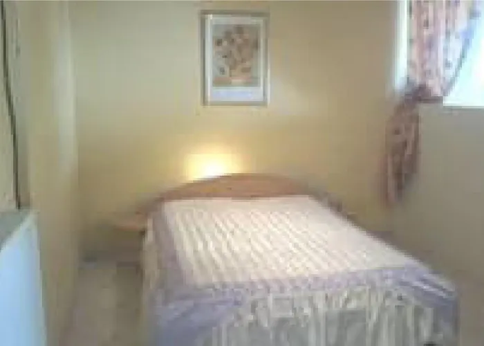 Le Trefle D'or Appartement Gérardmer