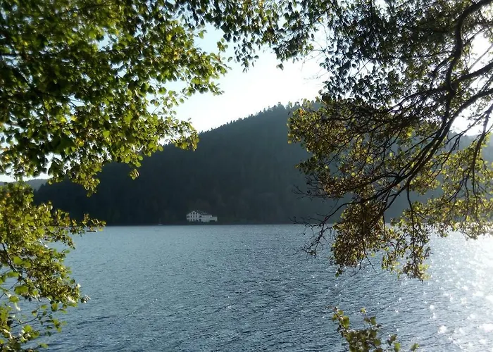 Le Trefle D'or アパート *